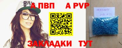 PSILOCYBIN Кингисепп