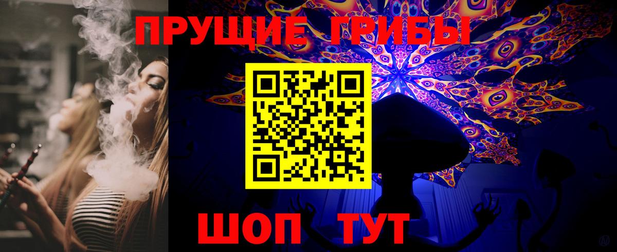 Псилоцибиновые грибы Psilocybine cubensis Касимов